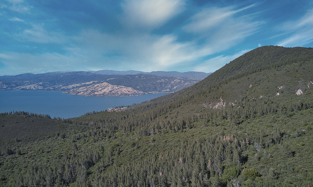 Director of OB / GYN Services in Mendocino County Director of OB / GYN Services in Mendocino County