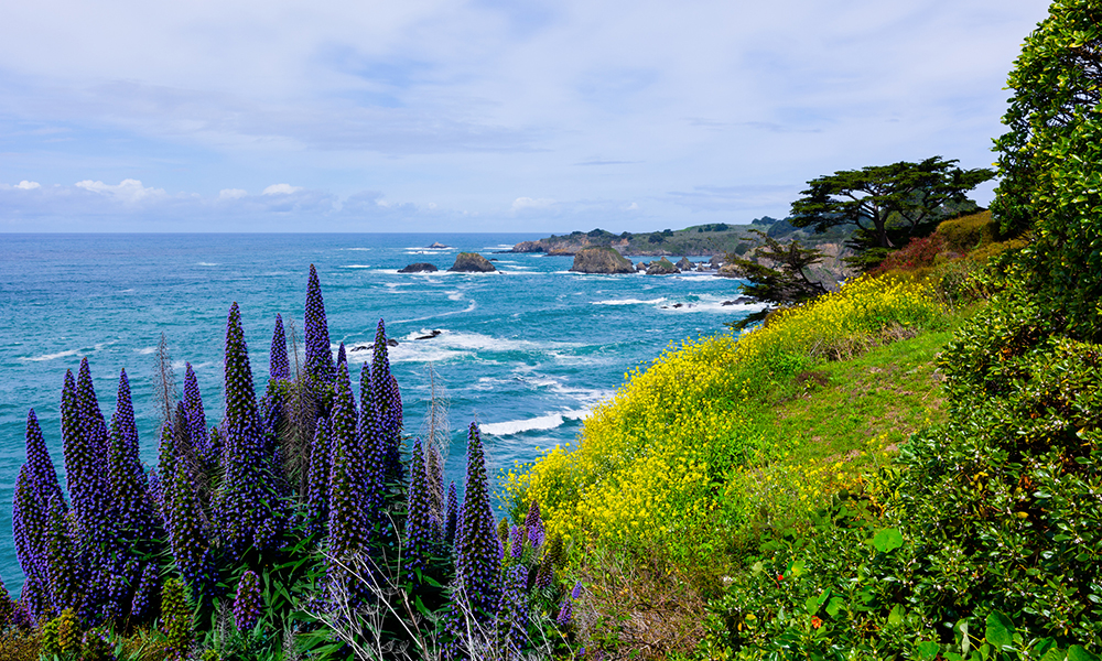OB/GYN Full Scope Job In Mendocino County OB/GYN Full Scope Job In Mendocino County