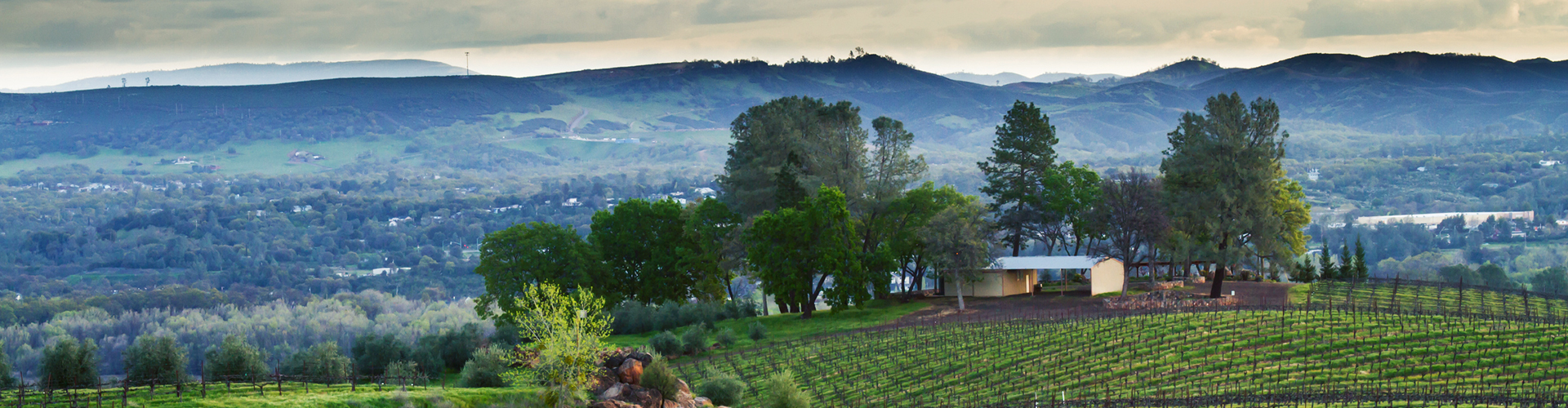 OB/GYN Full Scope Job In Mendocino County OB/GYN Full Scope Job In Mendocino County
