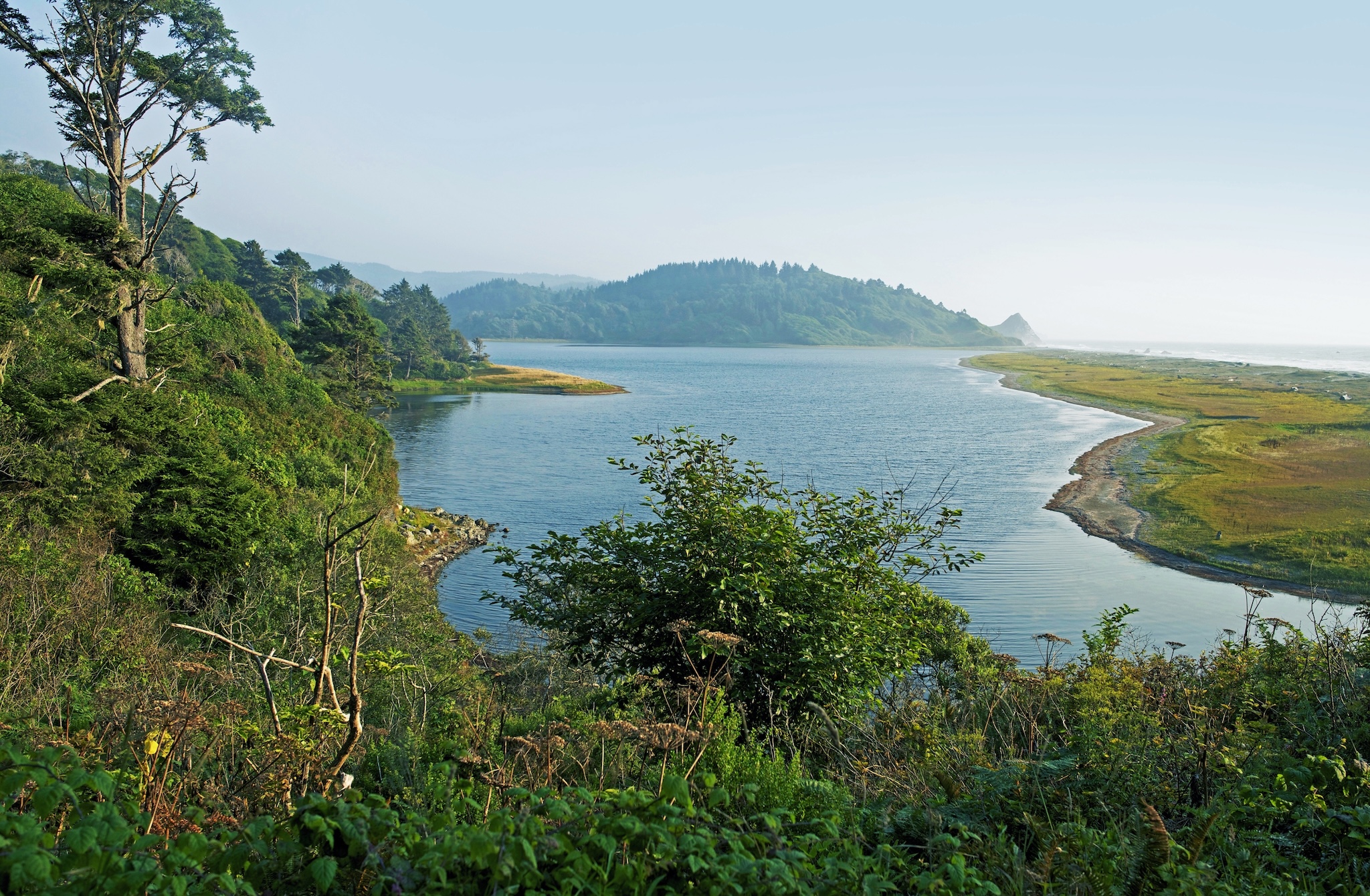 recruitment-event-2026-attendees-decorative-1 View of lake